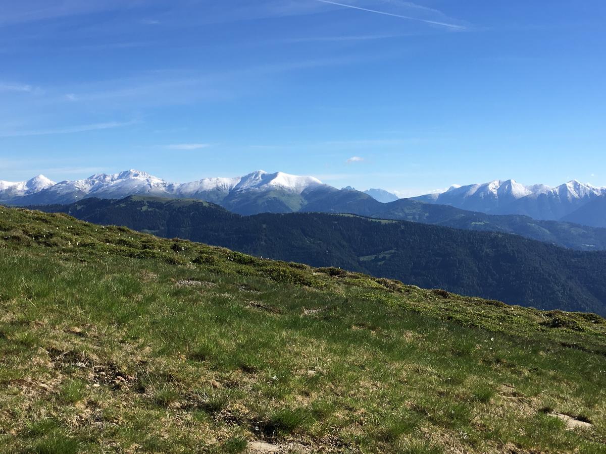 Vesely Svist Chalet Lachtal Exteriör bild